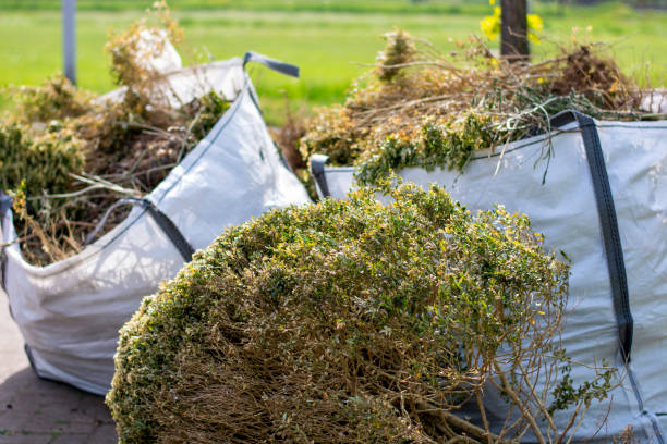 Best Hoarding Cleanup  in Caon City, CO