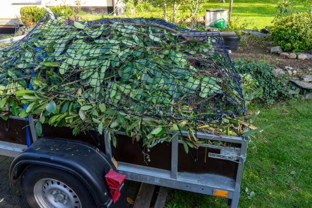 Best Recycling Services for Junk  in Caon City, CO